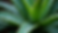 -post-ai-image-4093.png