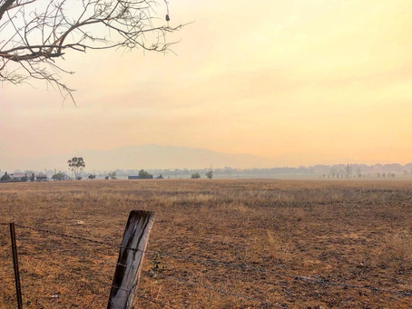 Tamworth's Air Quality deemed unhealthy for the third day in a row