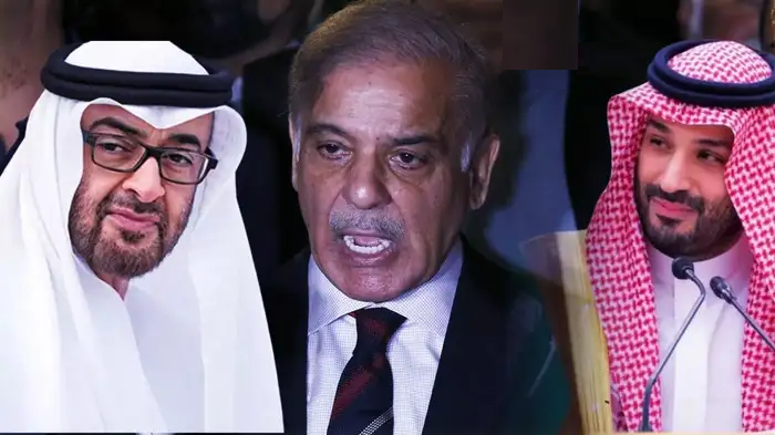 भारत-पाकिस्तान सीजफायर पर क्या बोले सऊदी, UAE