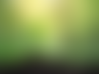 Transform Your Life by Shifting Your Perspective and Embracing Change