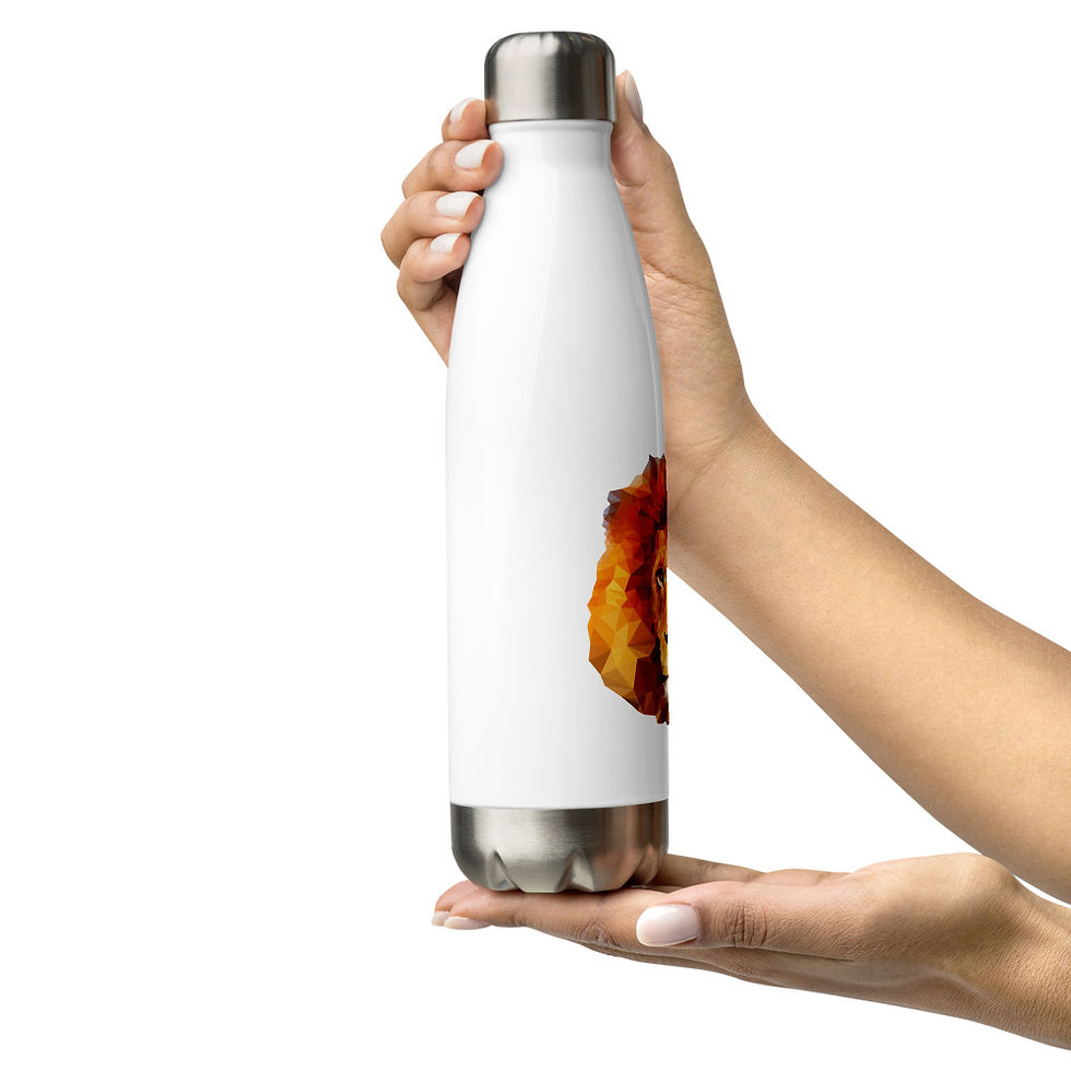 Thumbnail: Stainless Steel Water Bottle