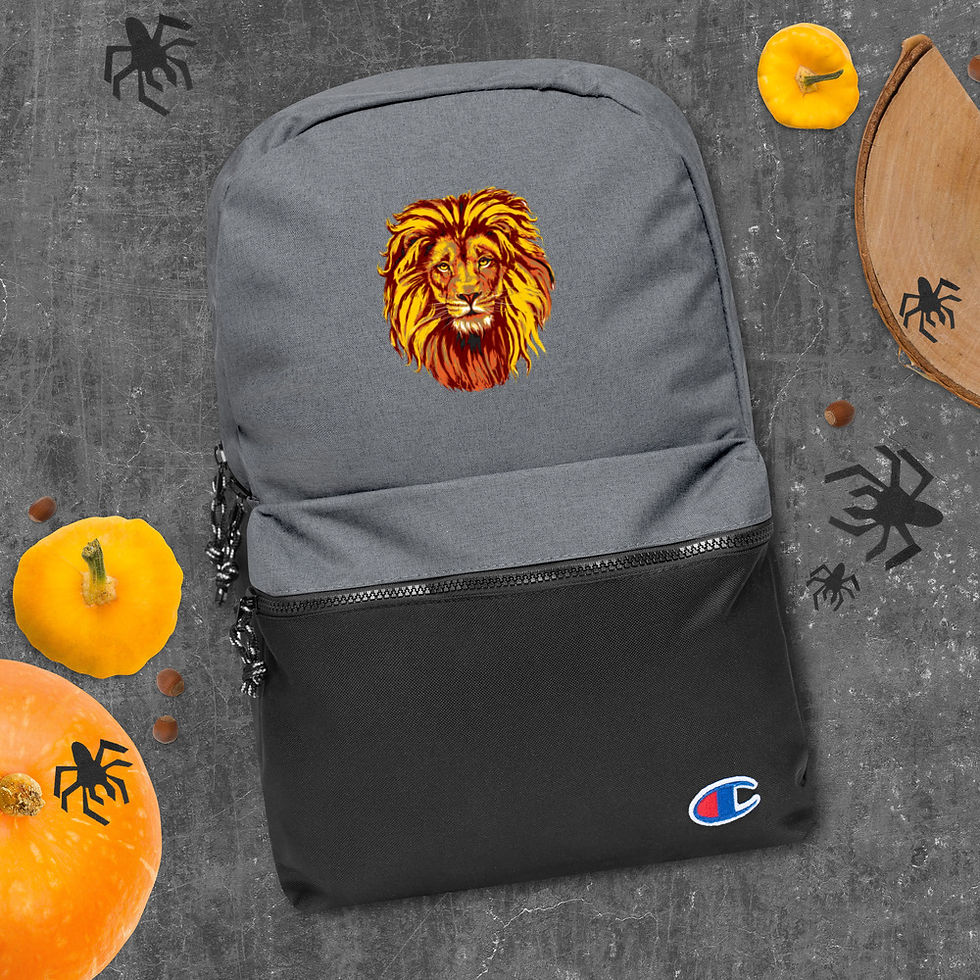 Thumbnail: Champion Backpack