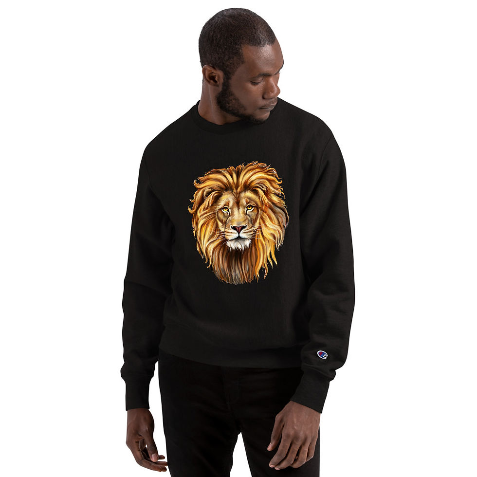 Miniatura: Champion Sweatshirt