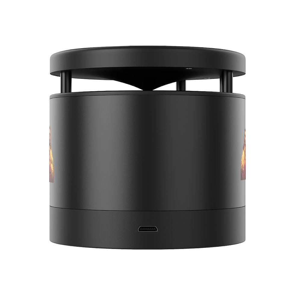 Thumbnail: Metal Bluetooth Speaker and Wireless Charging Pad
