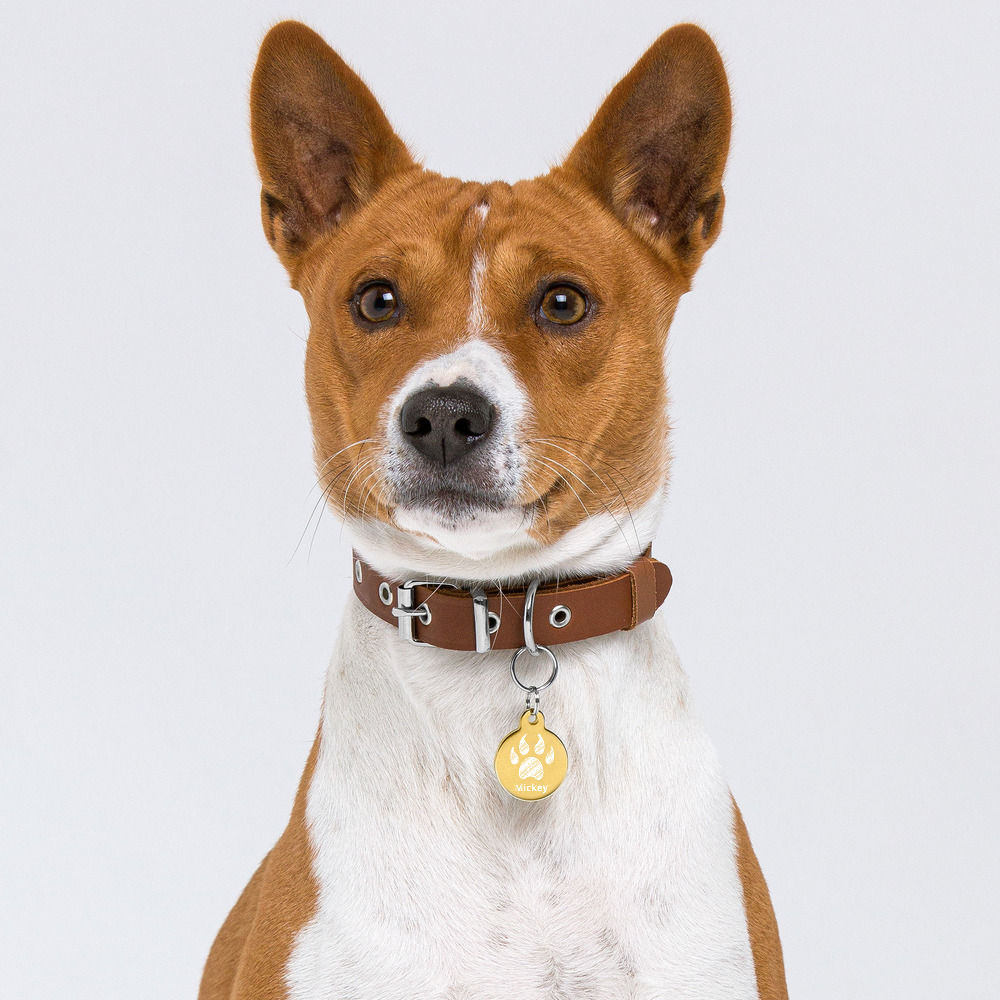 Pet ID tag