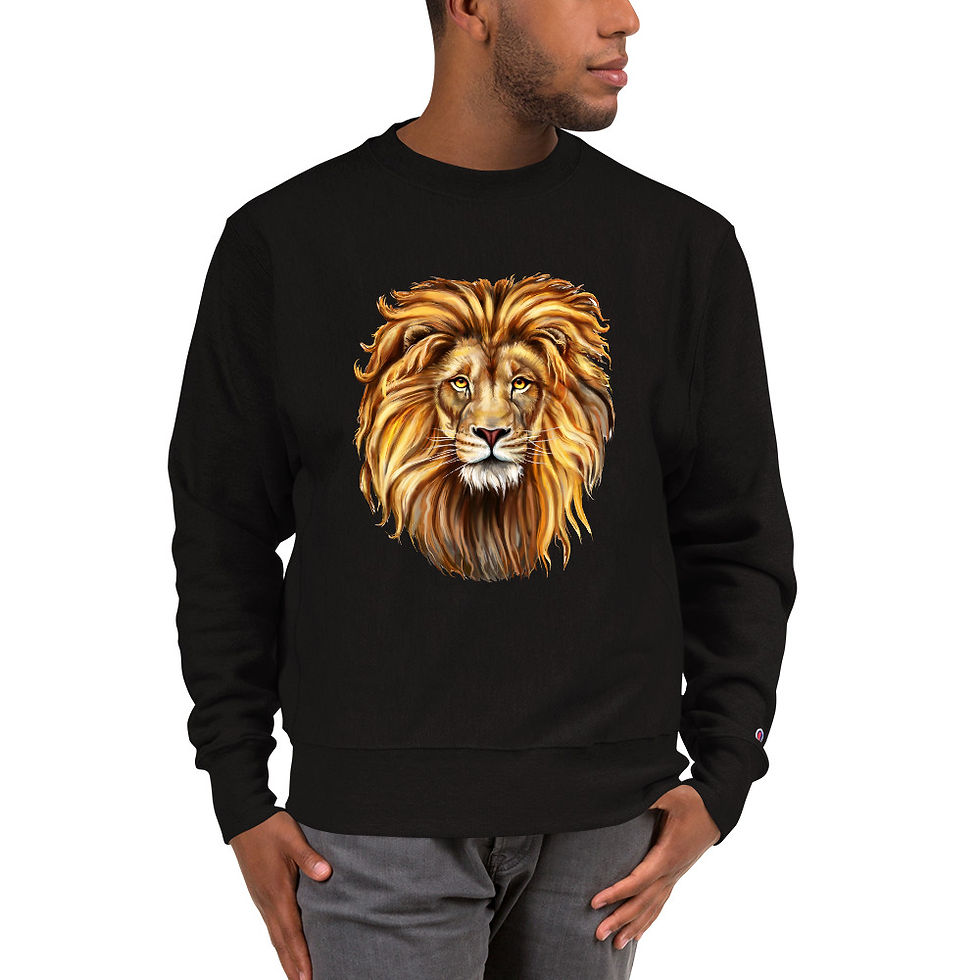 Miniatura: Champion Sweatshirt
