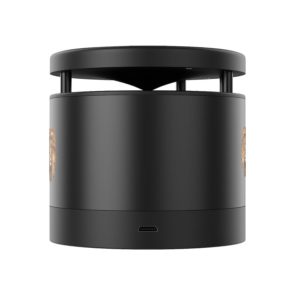 Thumbnail: Metal Bluetooth Speaker and Wireless Charging Pad