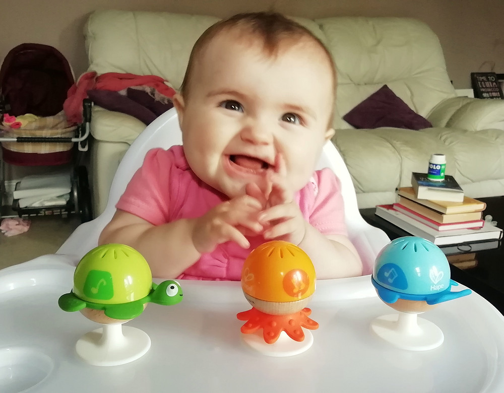 hape stay-put rattles