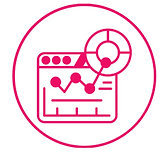 Audit icon.png