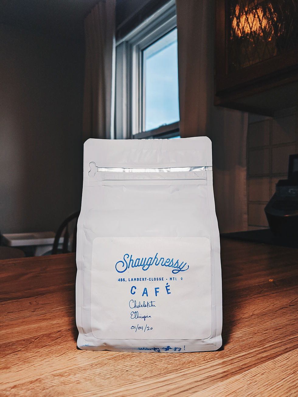 Brew Review: Shaughnessy Cafe