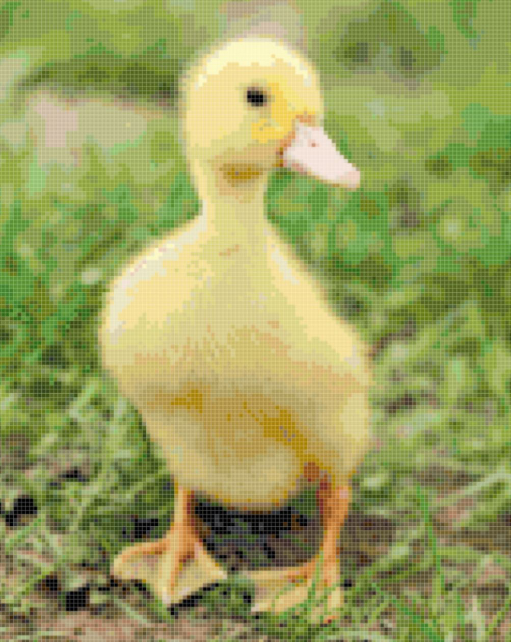 Photos2Stitch - Duckling - 000023 - 10 x 8 inches, 16 count Aida