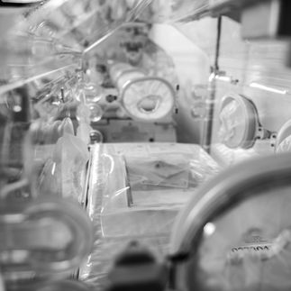 REHABILITATION (19).jpg