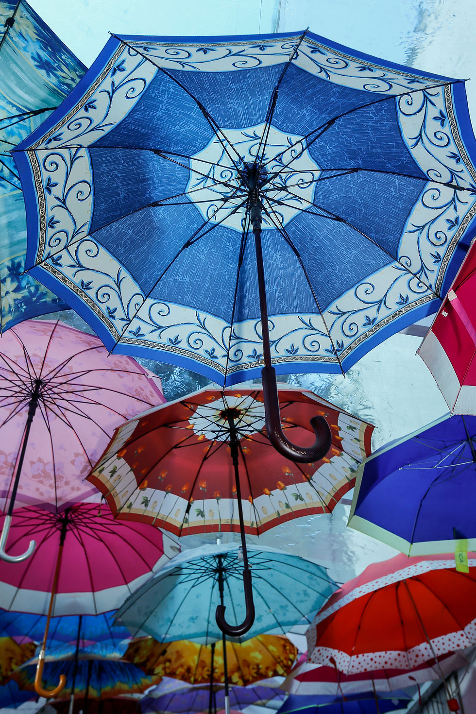 Dysautonomia: Understanding Just How Big the Umbrella Really Is