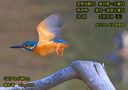 逃げるが勝ち