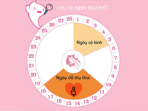 Nguyên nhân gây hiện tượng Bệnh kinh nguyệt không đều