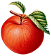 078 copia.png