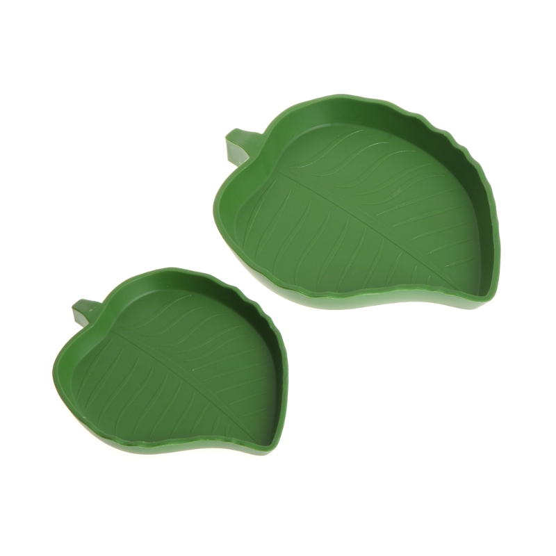 Isopod Feeding Dish