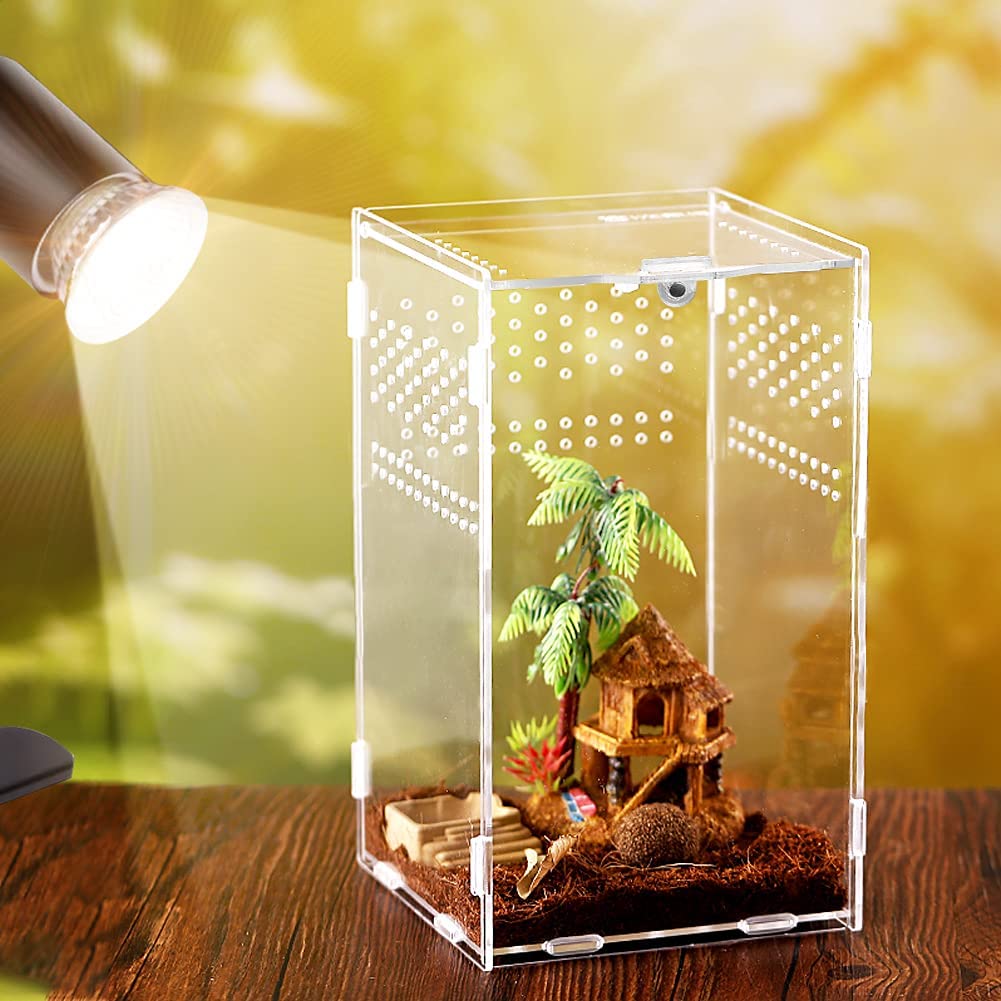 Isopod Terrarium