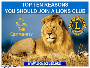 lions gif.gif