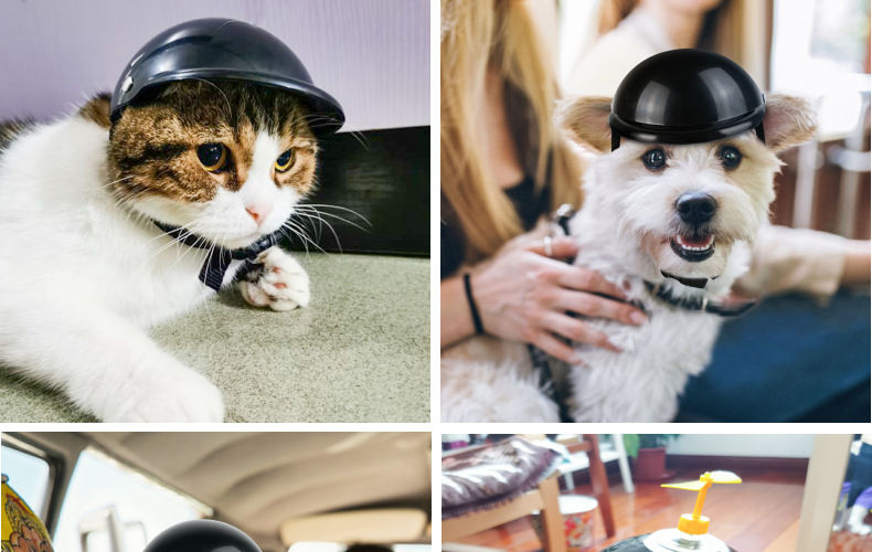 Thumbnail: RiderPaw Pet Helmet & Goggles