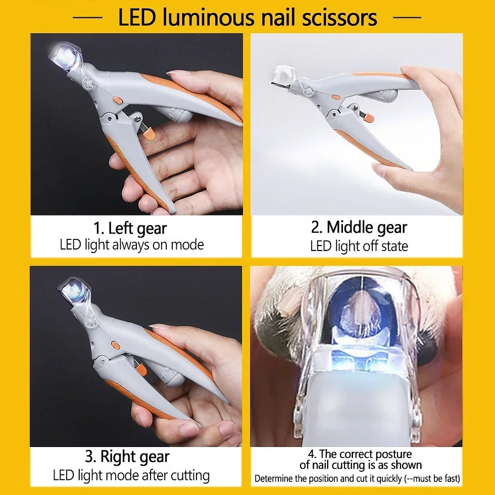 Thumbnail: PawTrim Professional Pet Nail Clipper Scissors With LED Light Cat Dog Nail Clip