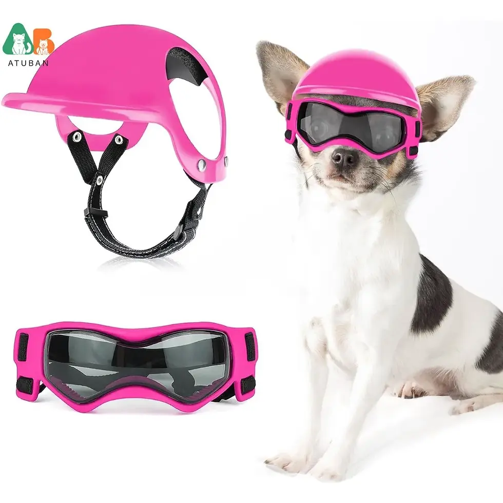 Thumbnail: PawRider Pet Helmet and Goggles Set