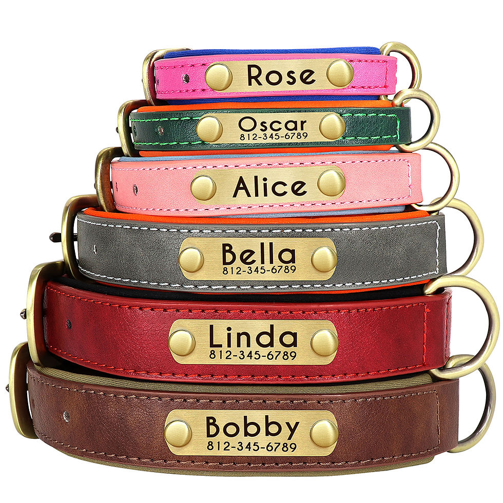 Thumbnail: NameGuard Personalised Leather Dog Collar
