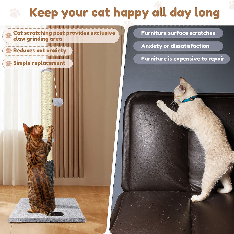 Thumbnail: DayPlus Cat Scratch Pole Sisal High-density Cats Scratcher Turntable Board Toy G