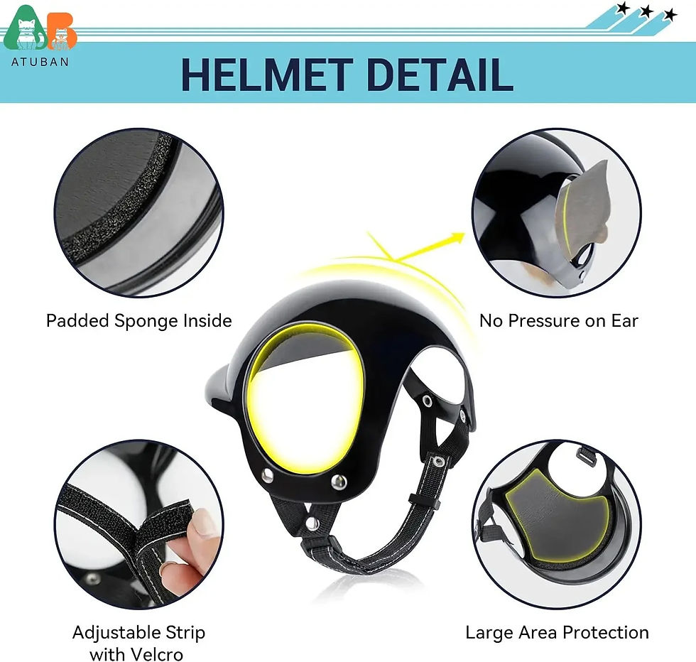 Thumbnail: PawRider Pet Helmet and Goggles Set