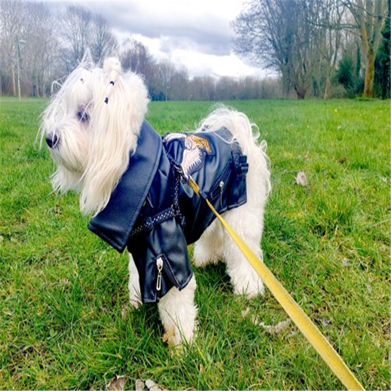 Thumbnail: BarkRider Faux Leather Dog Biker Jacket