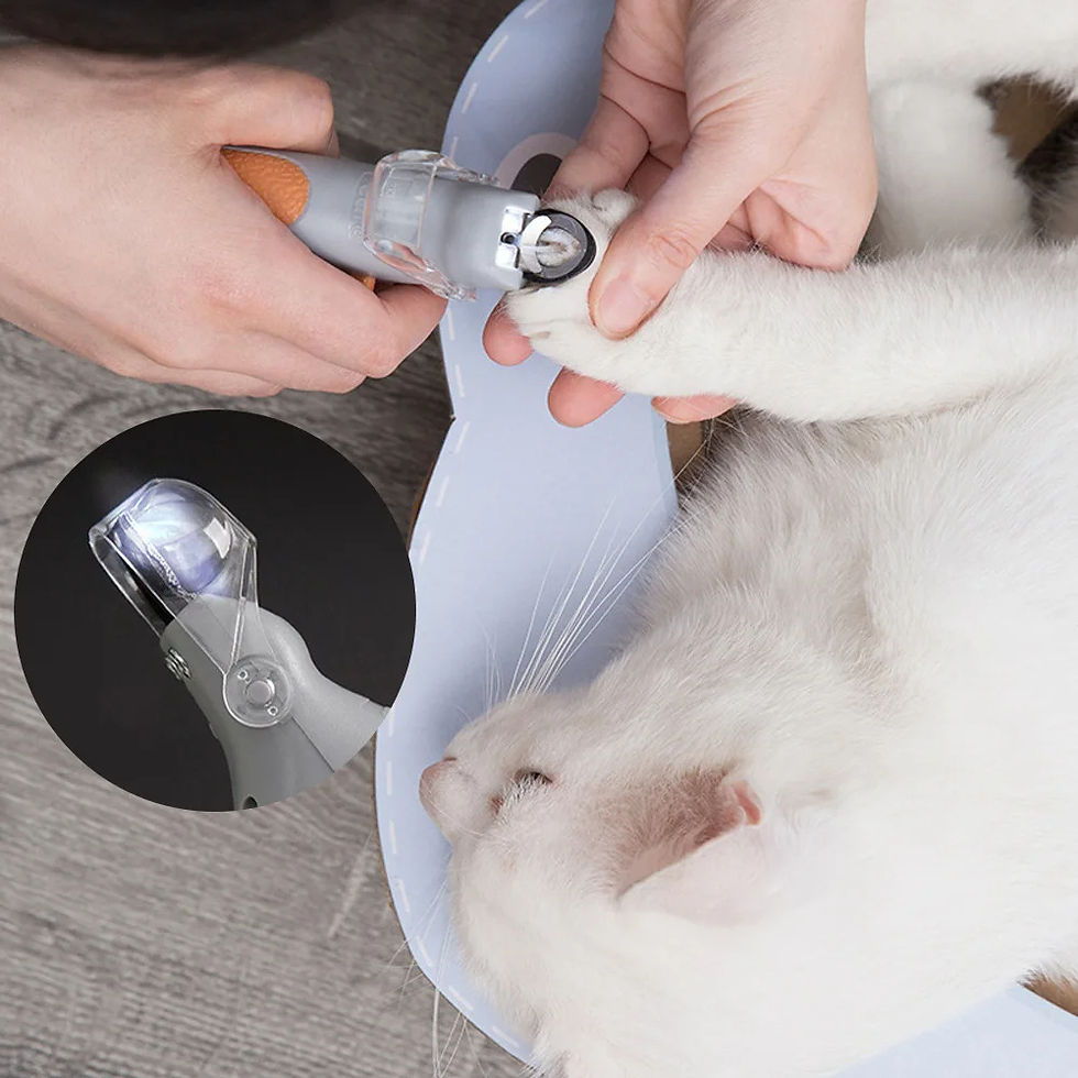 Thumbnail: PawTrim Professional Pet Nail Clipper Scissors With LED Light Cat Dog Nail Clip