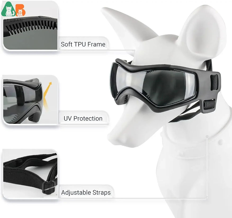 Thumbnail: PawRider Pet Helmet and Goggles Set