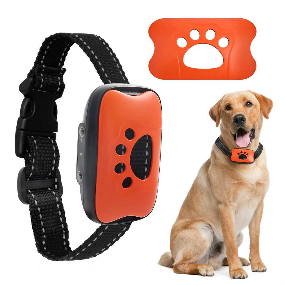 Thumbnail: PawCalm No-Shock Bark Training Collar