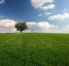 Campo abierto
