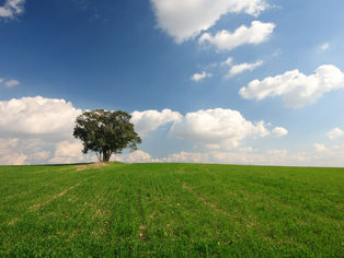 Connaissez-vous l'association Terre de liens Aquitaine ?