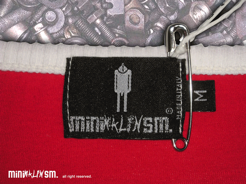 minimalinsm. labels.