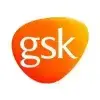 gsk-logo.webp