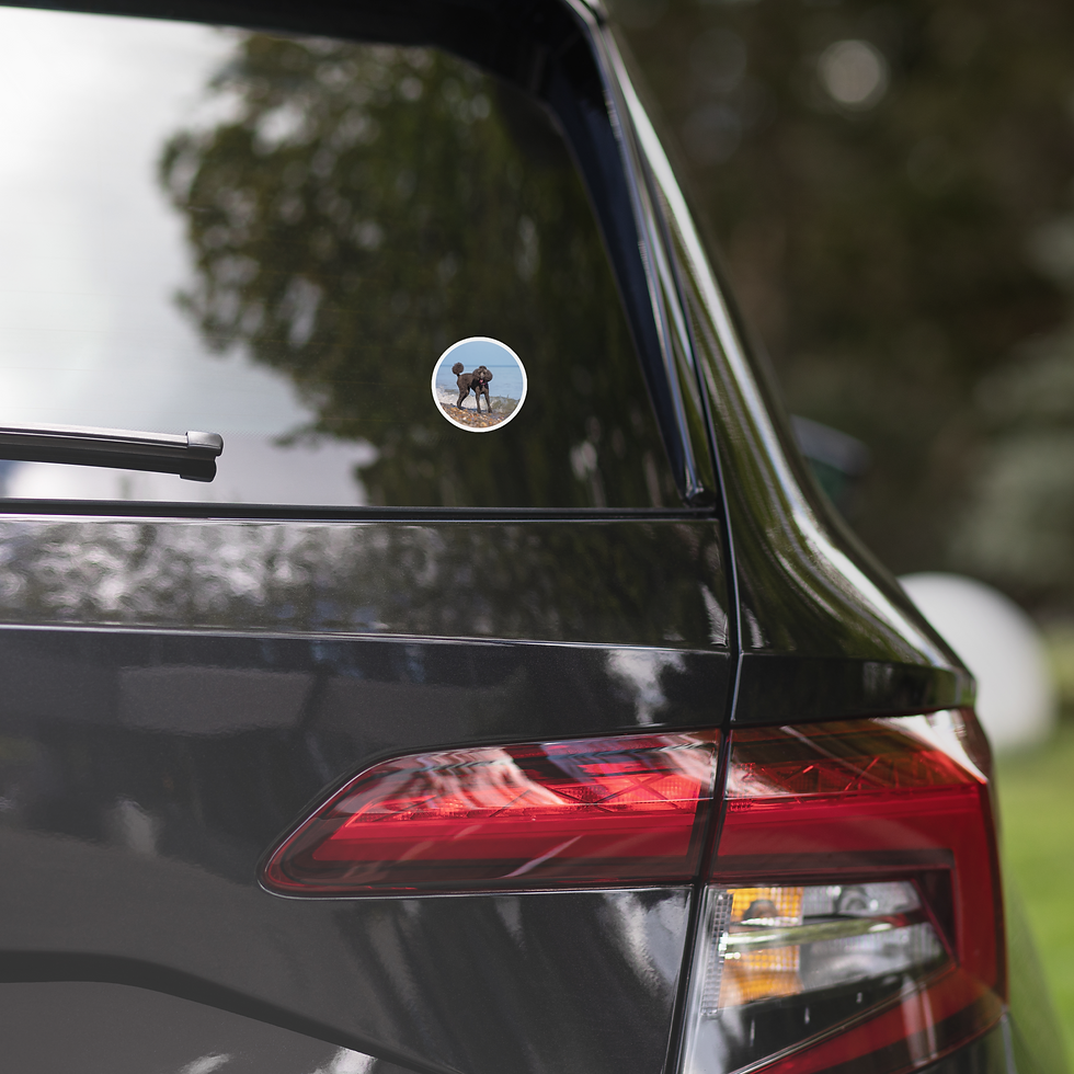 Thumbnail: Rolling wave Ember bubble-free sticker