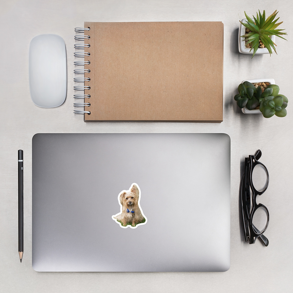 Thumbnail: Aladdin Bubble-free sticker