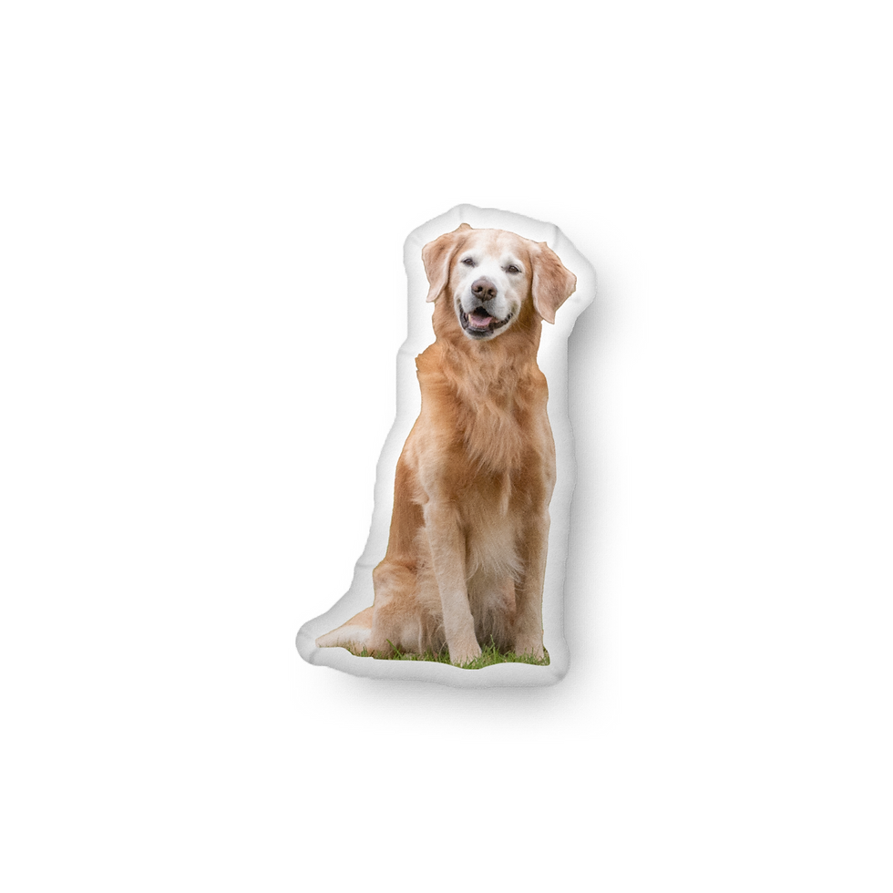 Thumbnail: Check Custom-shaped pillow