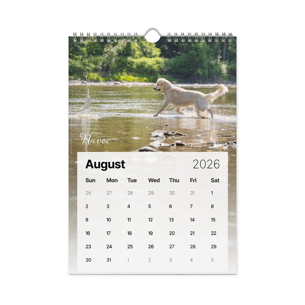 Thumbnail: Seasonal Dogs Wall calendar (2026)