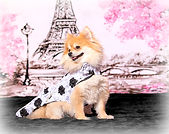Peneolope in Paris sm.jpg