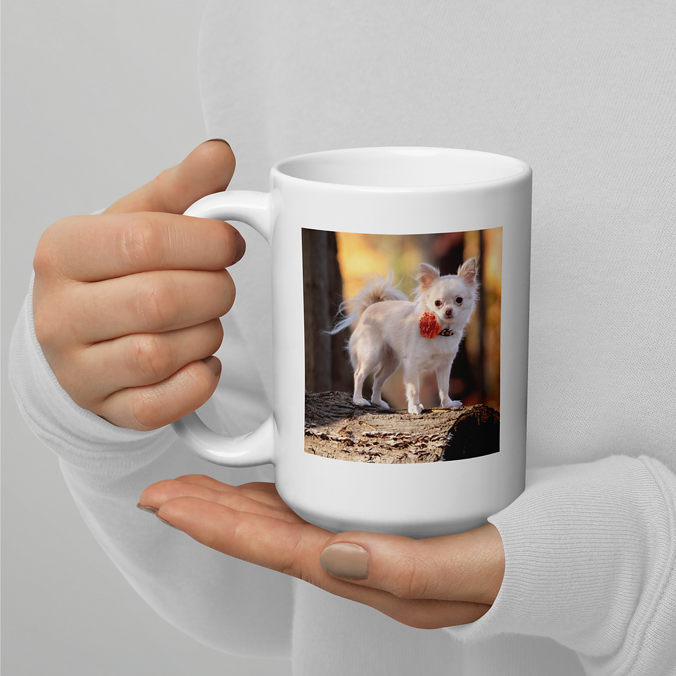 Thumbnail: Marnie: Long-haired Chihuahua Mug