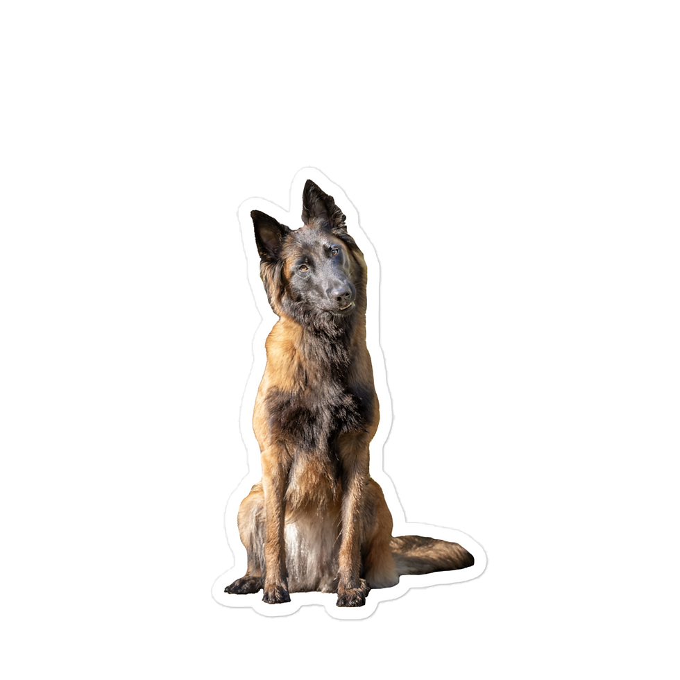 Thumbnail: Clever Bubble-free sticker