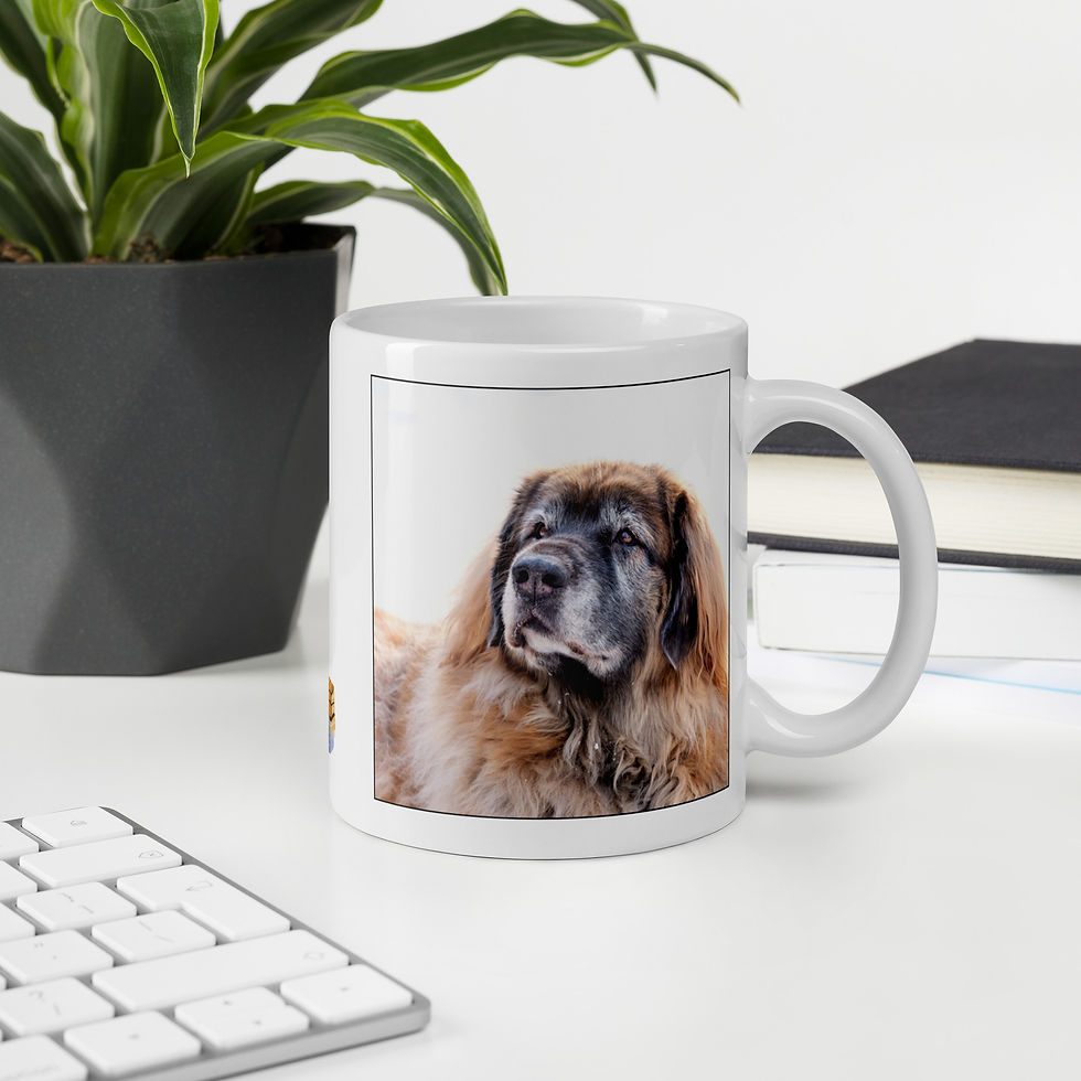 Thumbnail: Dolce: Leonberger Mug