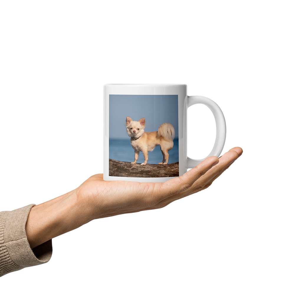 Thumbnail: Marnie: Long-haired Chihuahua Mug