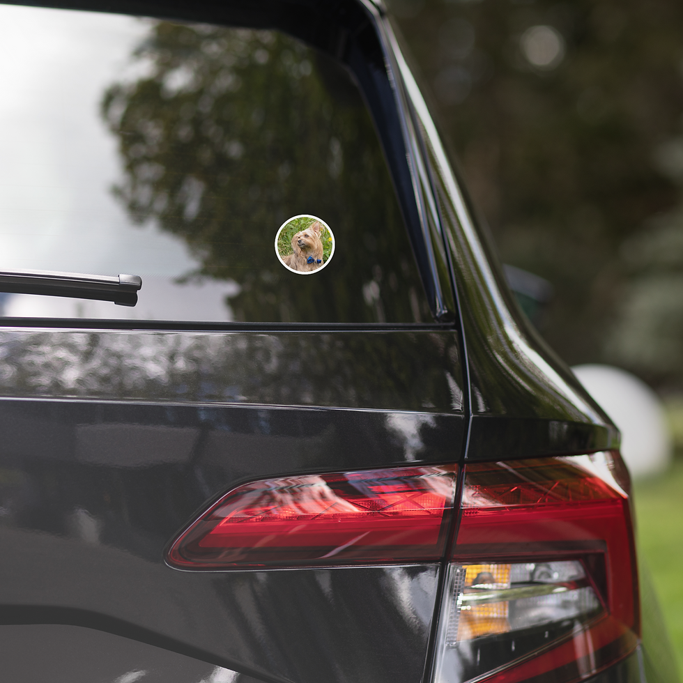 Thumbnail: Dramatic Aladdin bubble-free sticker