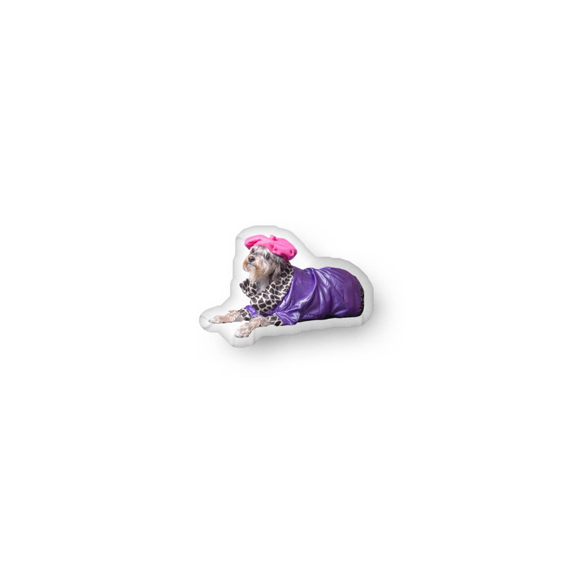 Walter in purple custom-shaped pillow