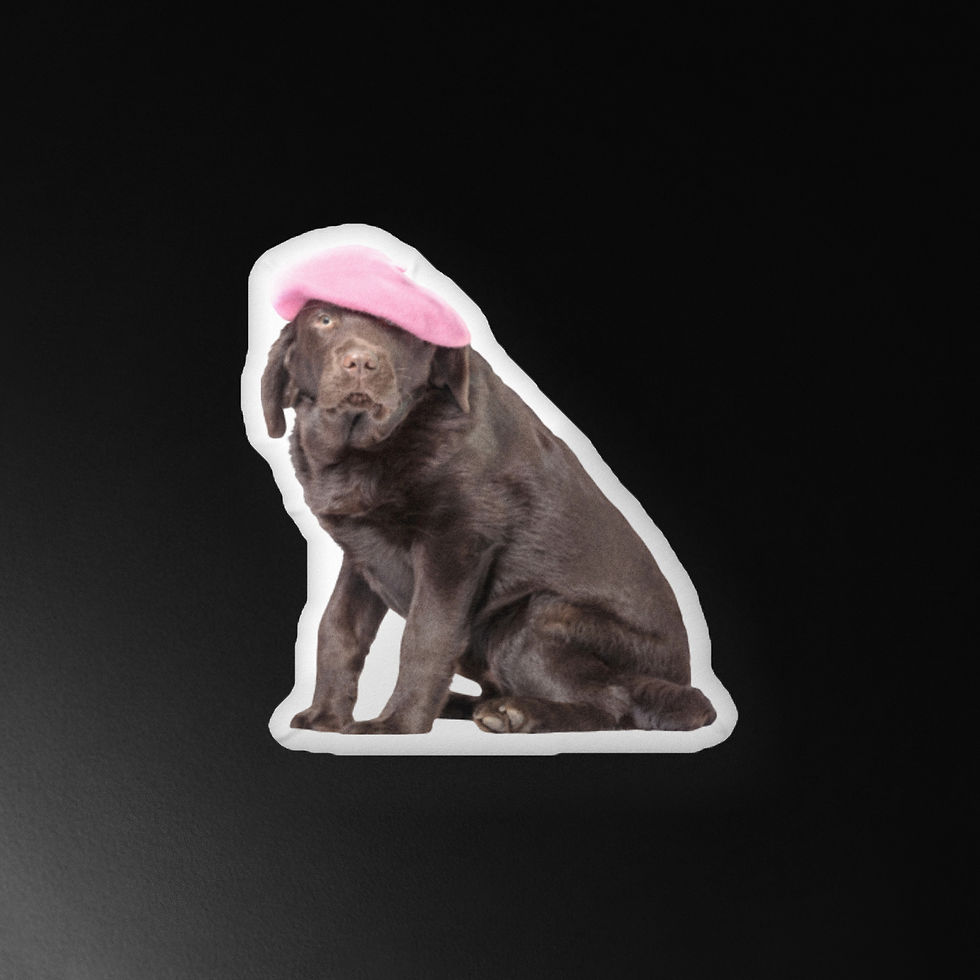 Thumbnail: Johnny in his beret: Custom-shaped pillow
