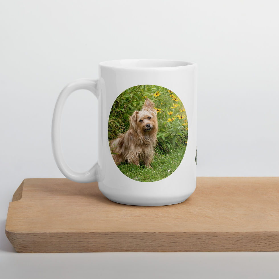 Thumbnail: Aladdin: Chorkie Mug